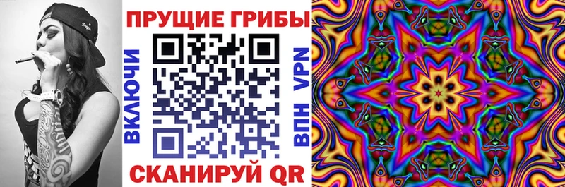 Галлюциногенные грибы Psilocybine cubensis  что такое   Канаш 