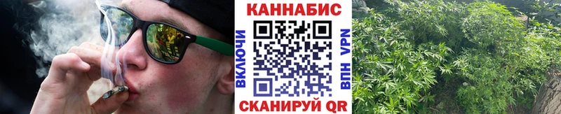 Марихуана Amnesia  Канаш 